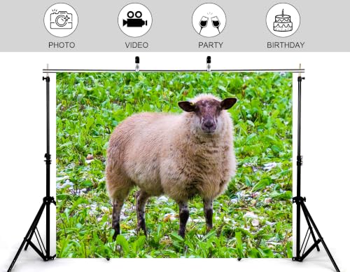5x3ft Fabric Fluffy Wool Sheep Backdrop Brown Faced Ewe Fresh Green Farm Field Photography Background Tapestry Party Farm Decorations Photo Booth Props - size: 5x3ft