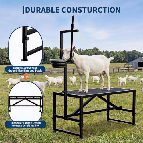 400LBS Goat Milking Stand with Feed Bin, 35" Adjustable Grooming Table - color: Black, size: 35 inch
