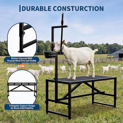 400LBS Goat Milking Stand with Feed Bin, 35" Adjustable Grooming Table - color: Black, size: 35 inch