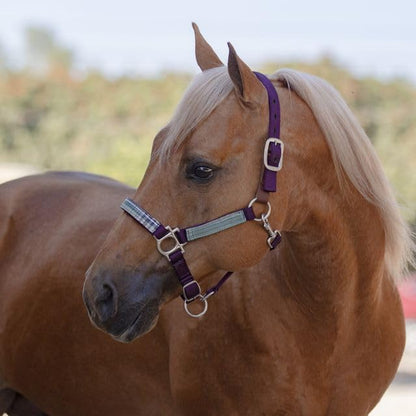 Kensington Premium Breakaway Halter with Padded Nose — Added Breakaway Safety Measures — Snap at Throat for Identical Fit Each Time - color: 2019 - Imperial Jade, size: Large