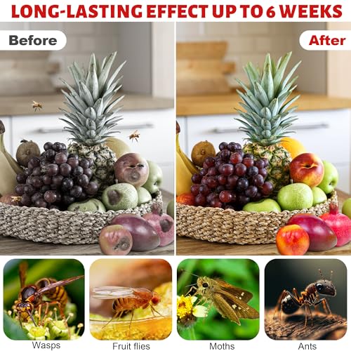12 Pack Natural Fruit Fly Trap Refill Liquid, Wasp Bee Trap Refill Liquids, Effective Mosquito Gnat Fly Refill Liquid for Indoor Outdoor Tabletop Kitchen Plant, Safe Near Food & Kids, 0.68oz/ Bottle