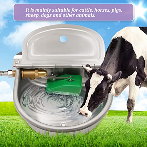 Automatic Dog Water Bowl with Brass Float Valve and Drain Hole