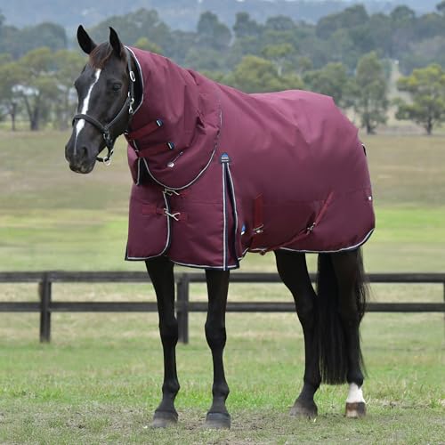 WeatherBeeta ComFiTec Essential Turnout Detach-A-Neck 220G, Burgundy/Navy, 75" - color: Burgundy/Navy, size: 75"