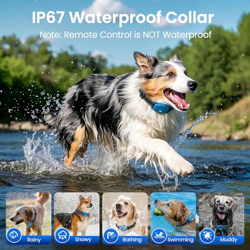 Wireless Dog Fence, Invisible & Electric Fence for Dogs