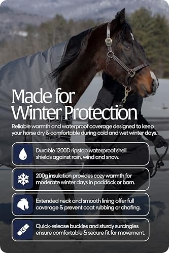 Equinavia Arktis Extended Neck Mid Weight Turnout Blanket 200g - Charcoal Gray - 69 in - color: Charcoal Gray, size: US 69 in