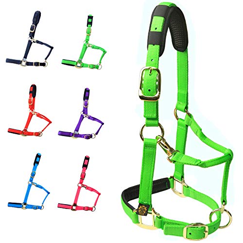 T TEKE Adjustable Horse Halters by Heavy Duty Soft Nylon, Padded with Anti-rubbing Waffle Neoprene on Both Crown & Nose - color: Green, size: Full (L)