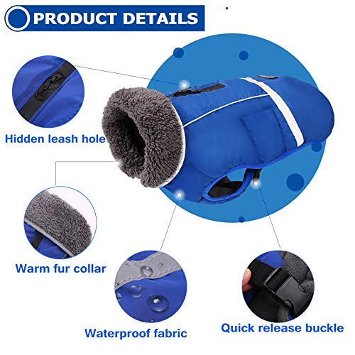 QBLEEV Warm Dog Coat, Reflective Dog Jacket, Waterproof Dogs Winter Coat - color: Blue, size: Small
