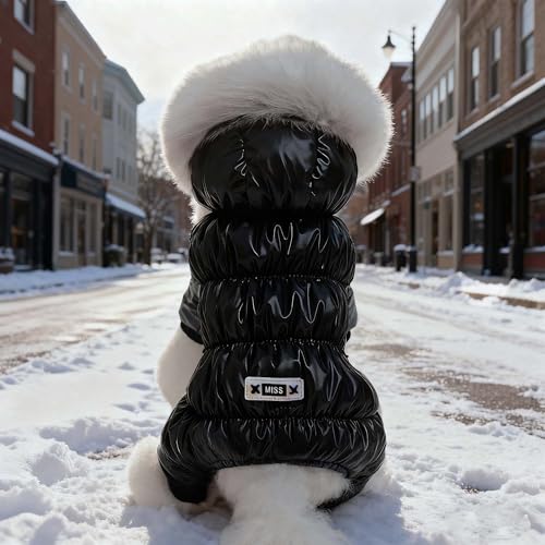 Dog Winter Warm Jacket Coat Pet Cat Hooded Jumpsuit Snowsuit,M | Waterproof Dog Winter Parka Coat with Faux Fur Hood;Windproof 4-Legged Warm Puppy Cold Weather Clothes for Small Medium Dogs - size: M(Back10.2inch|Weight3-6LBS)