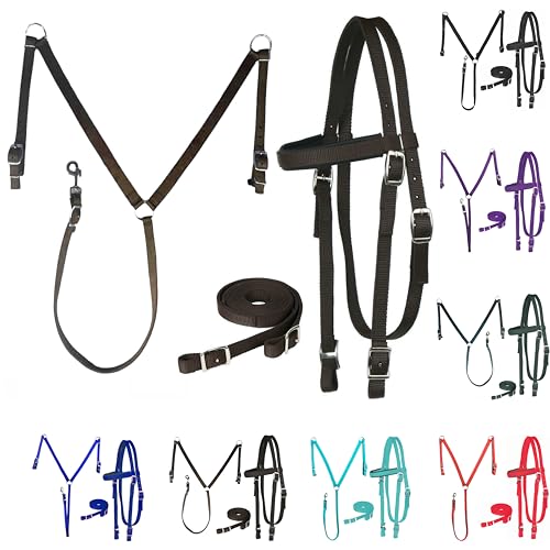 Majestic Ally Nylon Padded Equestrian Browband Headstall, Reins & BreastCollar Set for Horse- Full - color: Chocolate