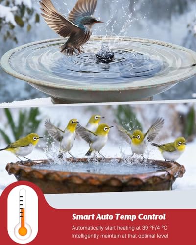 Pawfly 50 W Bird Bath Heater for Outdoors, Birdbath Heater with Thermostat