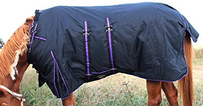 Challenger 1200D Turnout Waterproof Horse Heavy Winter Blanket w/Bellyband Purple 565B - color: Black/Purple Trim, size: 64 inches