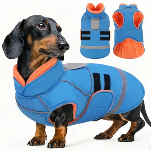 Dog Coat, Warm Dog Jacket for Small Dogs, Reflective Winter Coat - color: Turquoise, size: X-Small