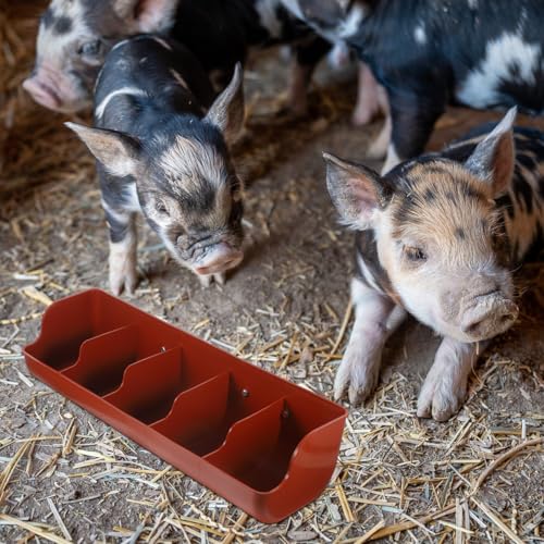 POPETPOP 5-Compartment Piglet Feed Trough Plastic Pig Feeder Manger 21.25X7.08X5.11 Inch Easy to Clean Livestock Feeding Tool for Farm Use - color: 1PC