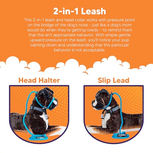 The Sidekick, Reg 3/8" Colors: Turquoise - color: Turquoise, size: Regular (3/8")