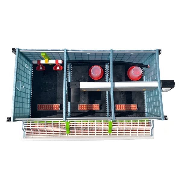 Hatching Time 9.5" Chick Brooders – Stackable with Automatic Heating, Modular Design, Easy to Clean, Ideal for Quail, Pheasant, and Baby Chicks (1 Layer) - style: 3 Section, 1 Layer