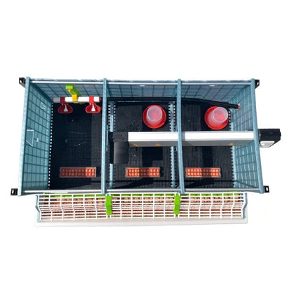 Hatching Time 9.5" Chick Brooders – Stackable or 2-Section Options with Automatic Heating, Modular Design, Easy to Clean, Ideal for Quail, Pheasant, and Baby Chicks (2 Layer) - style: 3 Section, 2 Layer