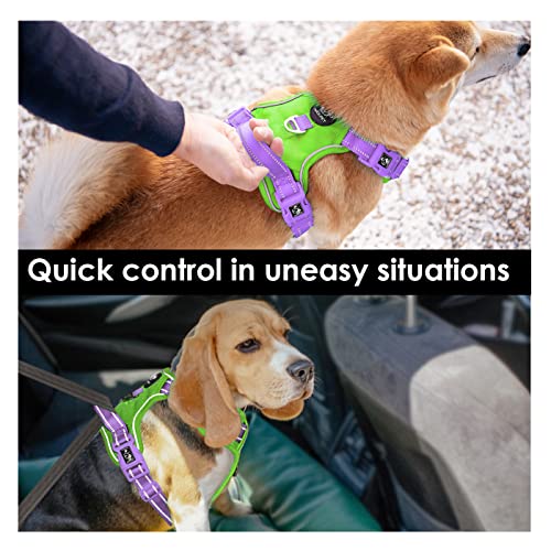 PHOEPET No Pull Dog Harness, Unique Colors Reflective Adjustable Dog Vest - color: Green Base & Purple Straps, size: Small