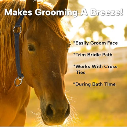 LBH MARKET Mustang Horse Collar 2-Pack (Black), 1" Wide Nylon Neck Strap for High Line Picket Line Tying and Grooming in Crossties for Horses, Includes Rubber Horse Face Brush