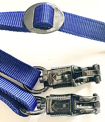 Majestic Ally Pack of 2, Double Thick Trailer Tie for Horse Haulage with Adjustable Buckle, Panic Snap and Bull Snap – 1 Inch by 36 Inch (Turquoise) - color: Turquoise