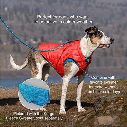 Kurgo Loft Dog Jacket, Deep Violet, Extra Small - color: Deep Violet/Charcoal, size: Extra Small