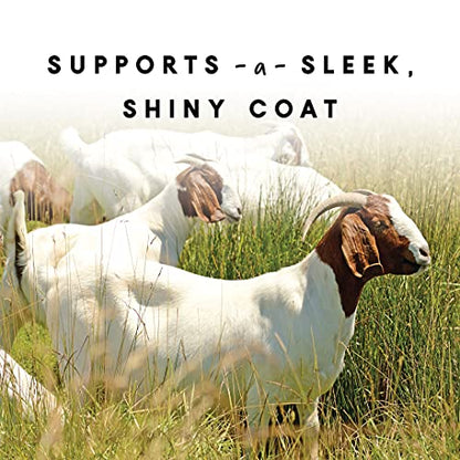 Manna Pro Goat Skin & Coat Supplement with Vitamins, 4 lb Bag