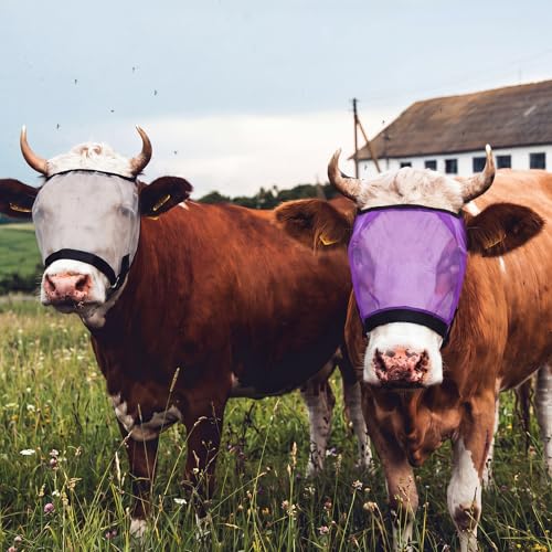 Abbylike 2 Pcs Cattle Livestock Fly Mask Adjustable Mesh Cow Mask with Elastic Chin Strap, Breathable Mesh Padded Large Spacing Forelock Opening Design Adjustable Fit for Cattle (Purple) - color: Purple