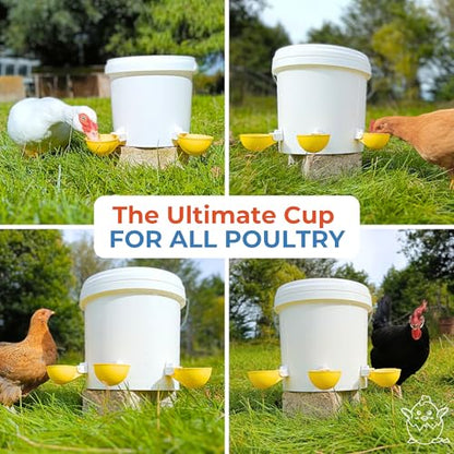 Lil'Clucker - Large Automatic Chicken Waterer Cups Suitable for Ducks, Geese, Turkeys, and Bunny Rabbit - Water Feeder Kit - Poultry Waterer (Yellow, 12 Pack) - color: Yellow, size: 12 Pack