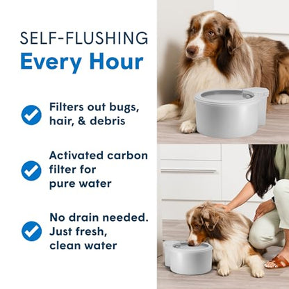 9" Self-Refilling Dog Water Bowl & Bottle Pump Bundle - size: 9" Bowl, style: Bottle Pump
