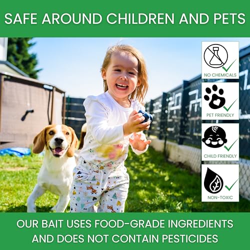 Fly Bait Refill Packs | Flybuster Compact | Non-Toxic | Bait Powder for All Flytraps | 4-Pack - size: Compact (4-Pack)