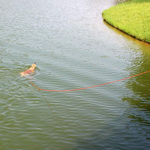 Check Cord Dog Leash Long Lead Obedience Recall Training Tracking Line 30ft - color: Purple