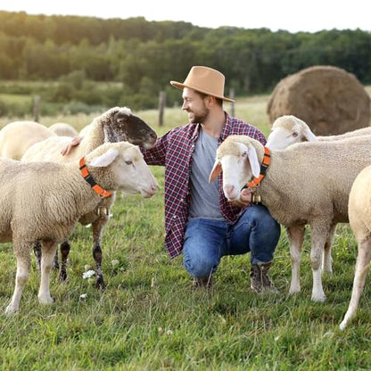 M METERXITY 3-Pack Goat Collars with Bells Polyester Orange - color: Orange