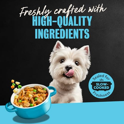 Cesar Loaf and Delights Wet Dog Food, Variety Lovers Pack, 3.5 oz, 36 Count | Real beef or chicken #1 ingredient, no fillers or artificial flavors, easy to digest, slow-cooked, easy-peel trays - size: 36 Count (Pack of 1)