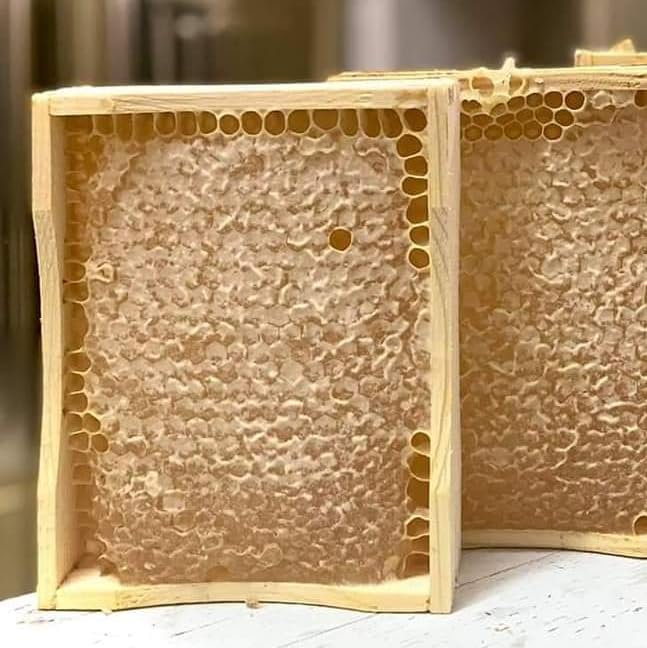 Foxhound Bee Co Comb Honey Cassette, Medium Frames - 40 Cassettes - size: Comb Cassette Medium Frame - 40 Pack