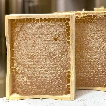 Foxhound Bee Co Comb Honey Cassette, Medium Frames - 40 Cassettes - size: Comb Cassette Medium Frame - 40 Pack