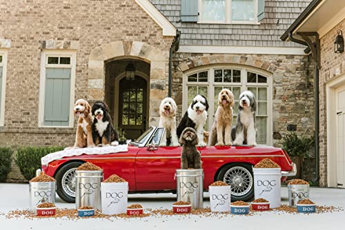 Harry Barker Classic Silver Dog Food Storage Canister – Medium, Airtight Stainless Steel Pet Food Container, Holds Up to 22 lbs Dry Dog Food, Kitchen Counter & Pantry Storage - Silver - color: Silver & Black
