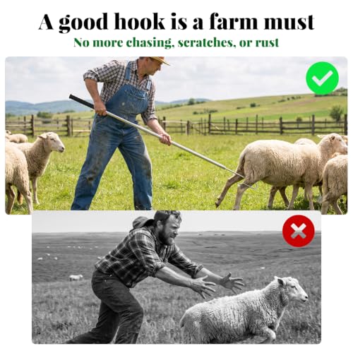304 Stainless Steel Goat Sheep Catcher Hook, Adjustable Livestock Leg Grabber Tool 44"–70", Heavy Duty Shepherd Crook for Farm Shearing, Milking & Health Checks