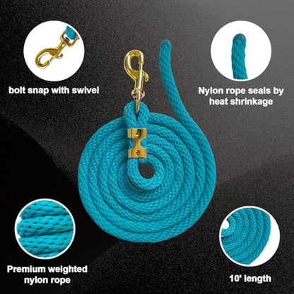 5/8" x 8' Nylon Horse Lead Rope with Cast Iron Hardware(Lake Blue) - color: Lake Blue