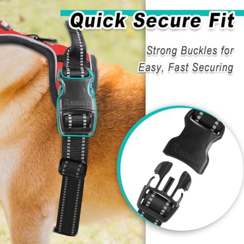 BARKBAY Dog Harness for Small Sized Dog No Pull 2 Leash Clips Dog Vest - color: Red, size: X-Small