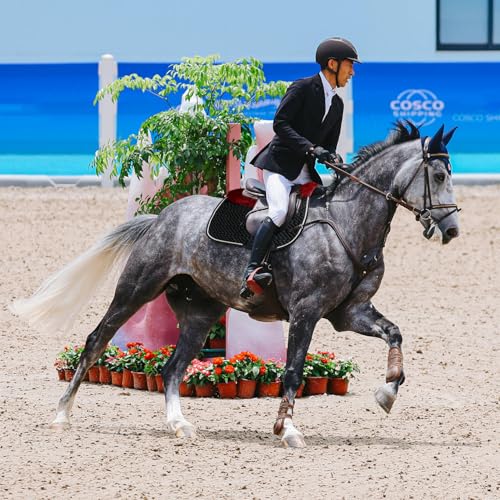 Woolous Dressage Saddle Pad, English Saddle Pad with Sheepskin Trim, Lambskin Wool Fleece Lining, Square Saddle Pad for Equestrian Riding, Comfortable & Shock Absorbing - color: Black/Red