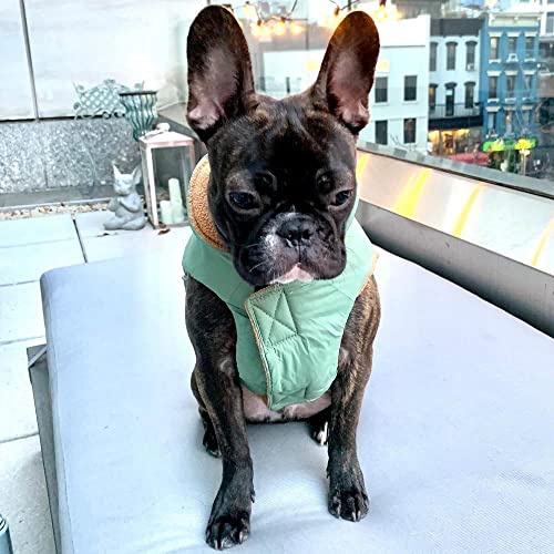 Gooby Sports Vest Dog Jacket, Green, X-Small - color: Green, size: X-Small chest (~11")