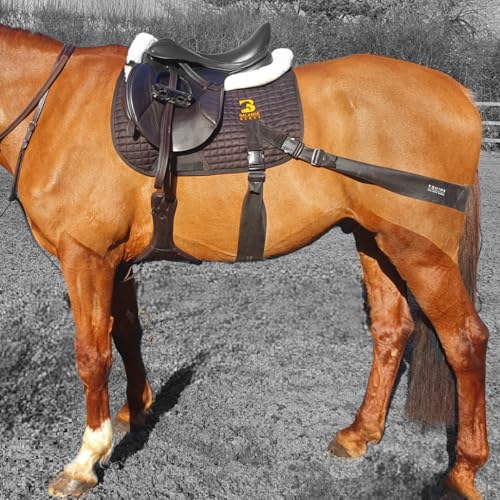 Core Conditioning Saddle Pad & Band System for Horses - style: All Purpose
