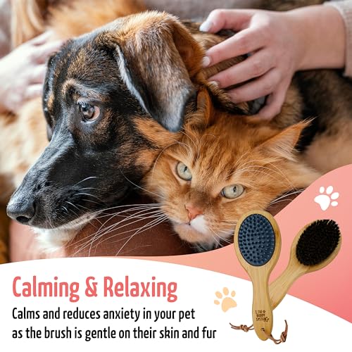 The Buddy System - Combo Bristle Pet Brush, 2-in-1 Brush