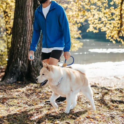 Mile High Life Dog Leash with Genuine Leather-Wrapped Ends, 4/5/6FT - color: Blue, size: 18 Inch-1/2"