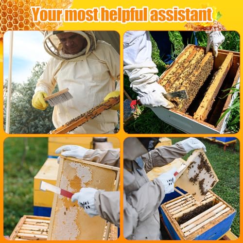 Acostop Bee Hive Tool Stainless Steel J Hook & Soft Brush for Beekeeping | 13.8" Natural Horsehair Beehive Brush, 10.5" Bee Frame Lifter and Scraper, Bee Keeping Starter Kit for Beekeepers