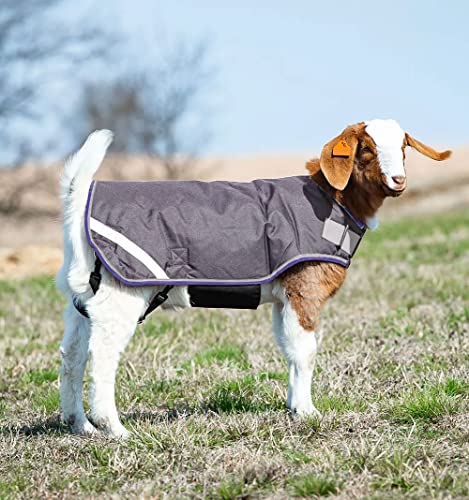Horseware® Goat Rug - Excalibur/Silver & Strong Blue & Black, M - color: Excalibur/Silver & Strong Blue & Black, size: M