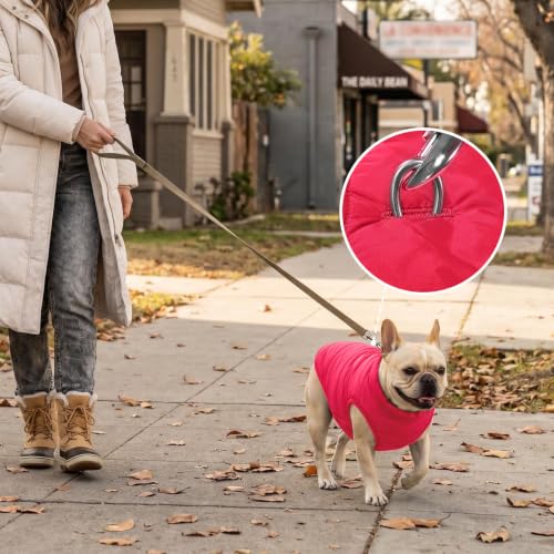 JoyDaog Fleece Lined Dog Jacket for Small Dogs,Winter Dog Coat,Pink M - color: Pink, size: Medium