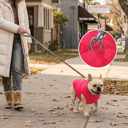 JoyDaog Fleece Lined Dog Jacket for Small Dogs,Winter Dog Coat,Pink M - color: Pink, size: Medium