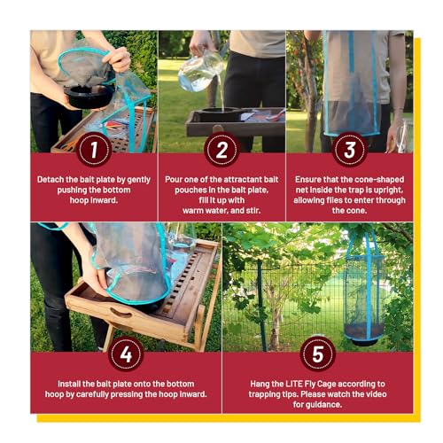 1 Flies Inn LITE Fly Cage Ranch Fly Trap with 2 Flies Inn Fly Bait Refill, Low Odor, Reusable, Built to Last for Years (6 Traps + 72 Baits, 1) - style: 6 Traps + 72 Baits