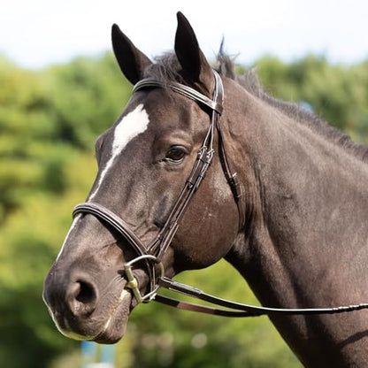 Equinavia Saga Adjustable Padded Fancy Stitched Hunter Bridle with Reins - size: Warmblood