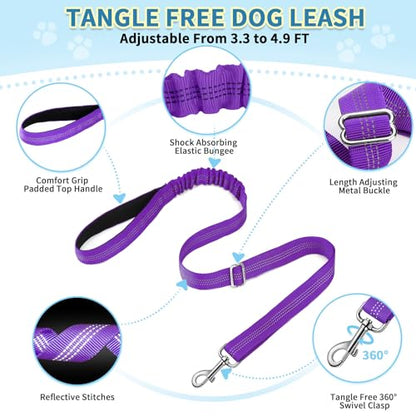 SlowTon No Pull Small Dog Harness and Leash Set with Front Clip | Soft Padded, Neck & Chest Adjustable, Lightweight, Anti-Twist, Puppy Vest Harness Pet Lead Combo for Small Medium Dog, PU XXS - color: Purple, size: XX-Small